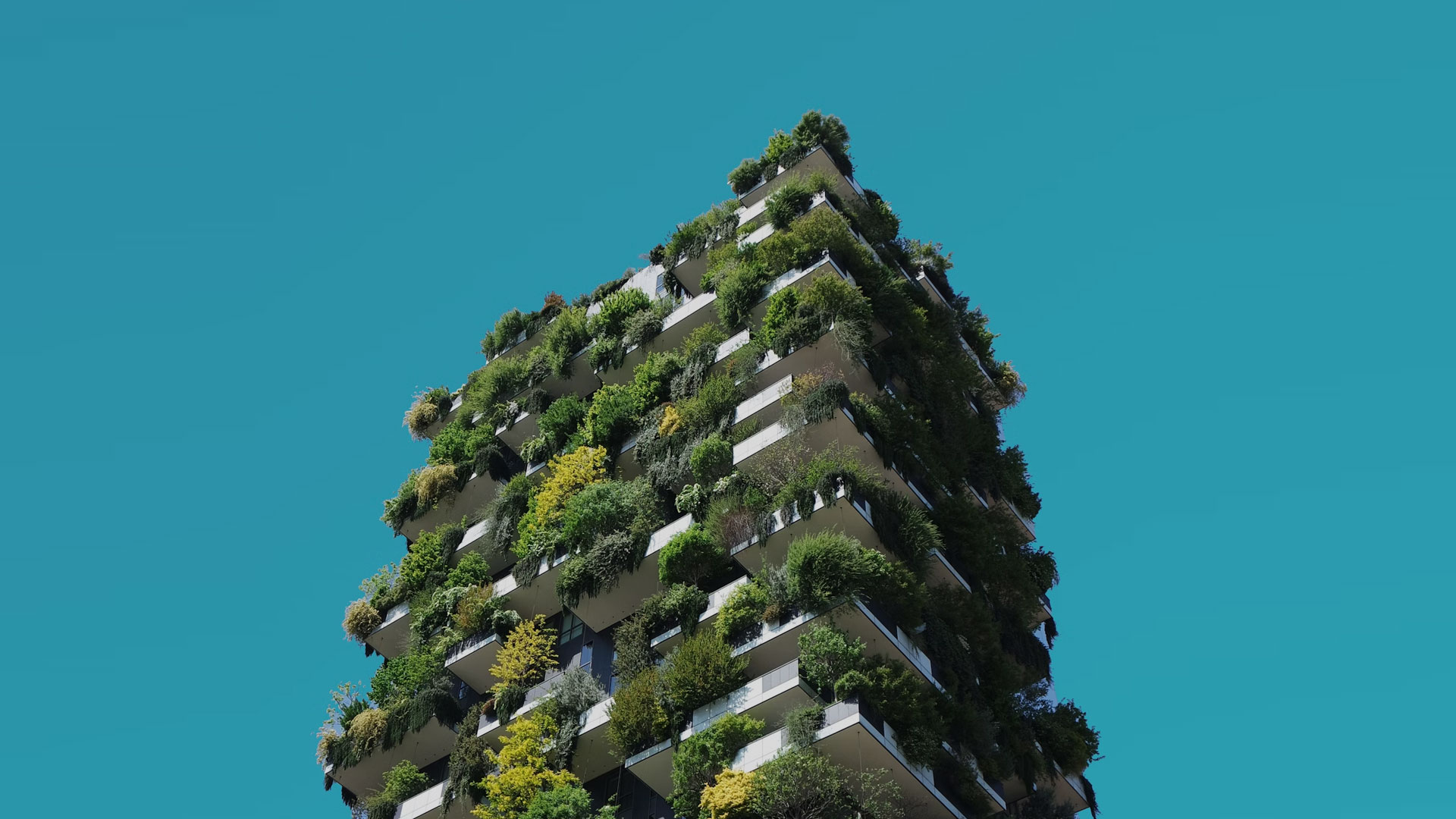 Main Goyo Architecture Design Office Building 2